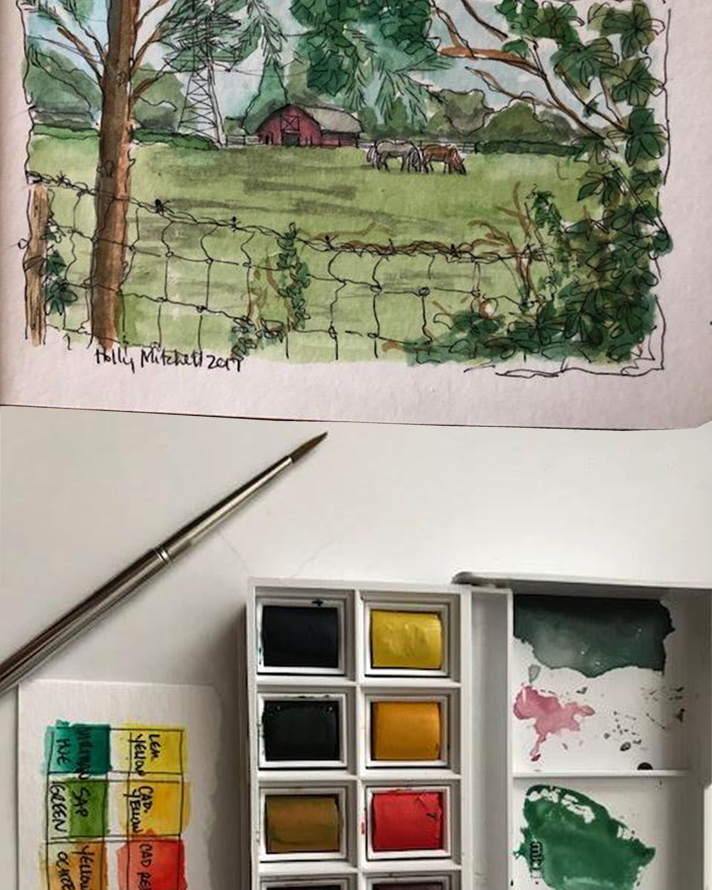 Acuarelas Winsor & Newton Cotman