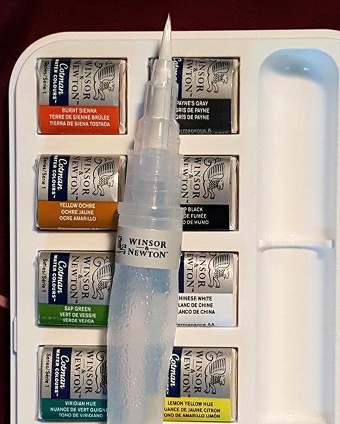 Acuarelas Winsor & Newton + pincel de agua