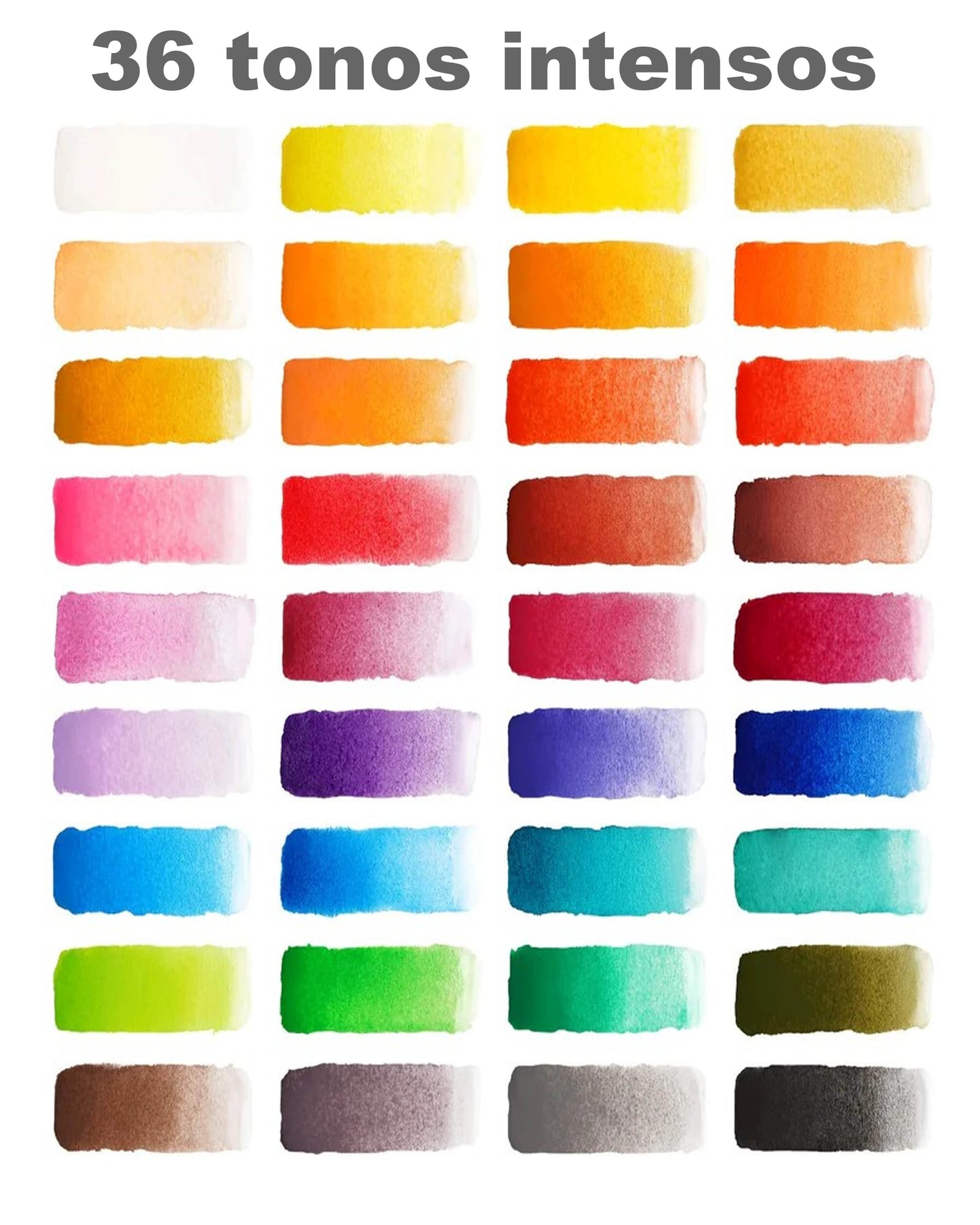Acuarelas ARTEZA Premium 36 colores