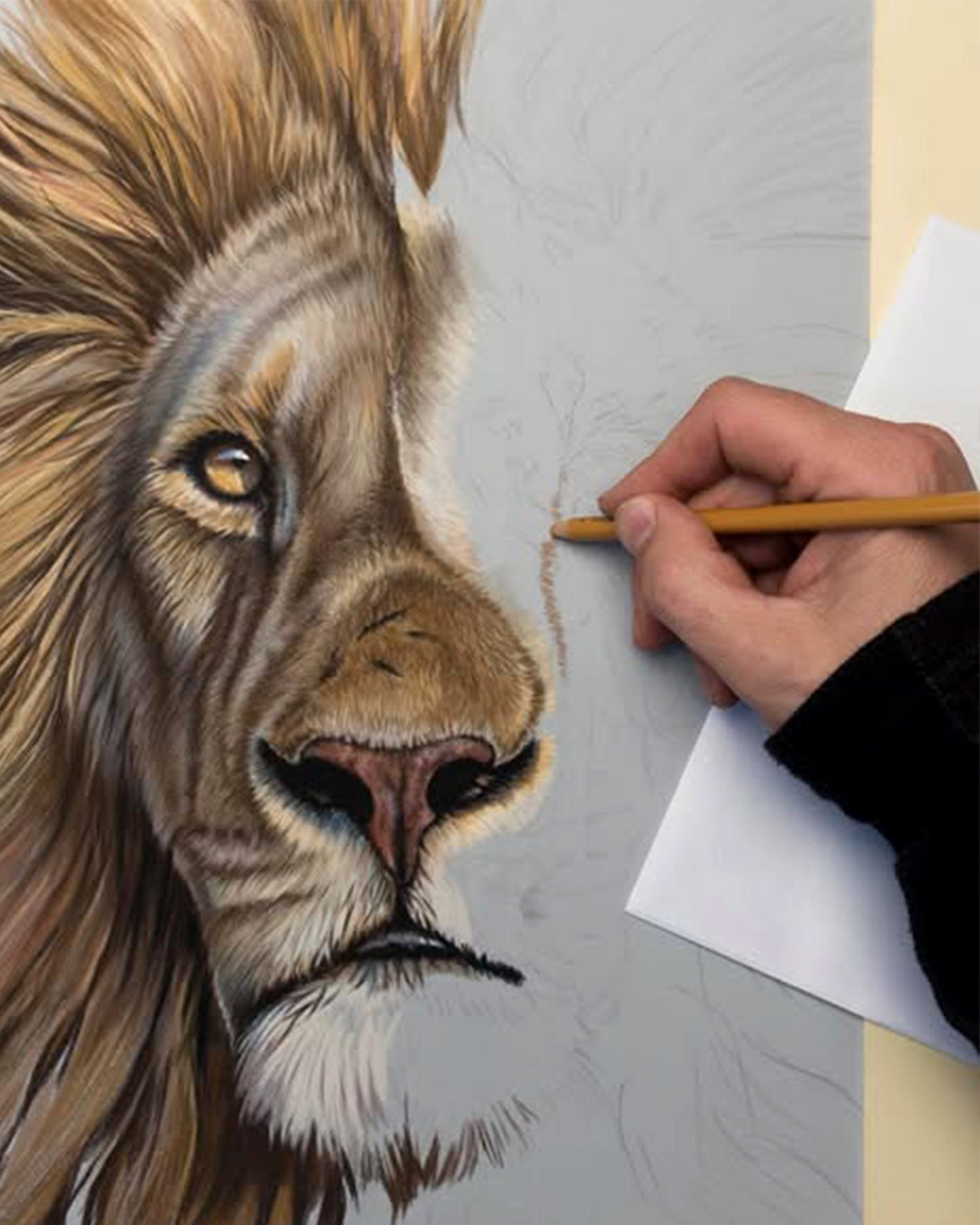 Faber-Castell PITT Pastel 36