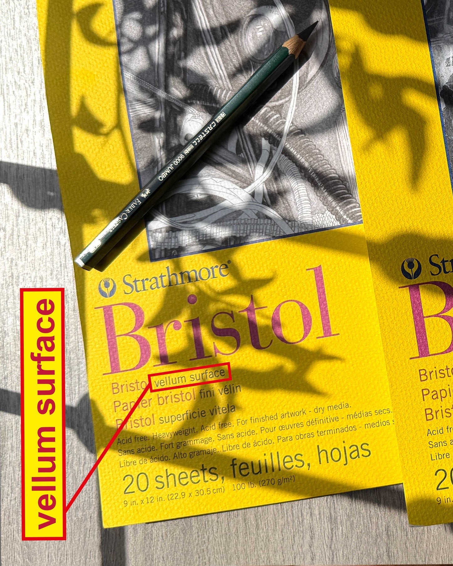 Bloc Strathmore Serie 300 Bristol Vellum Surface 22.9 x 30.5 cm – 270 g/m²
