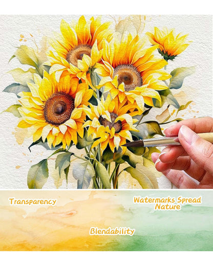 Set de acuarelas de 50 colores + 2 Pincel