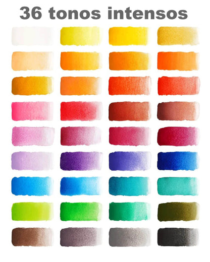 Acuarelas ARTEZA Premium 36 colores