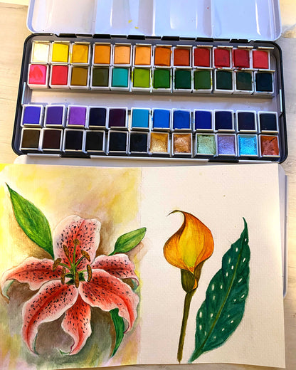 Box de Acuarelas 48 colores Emooqi