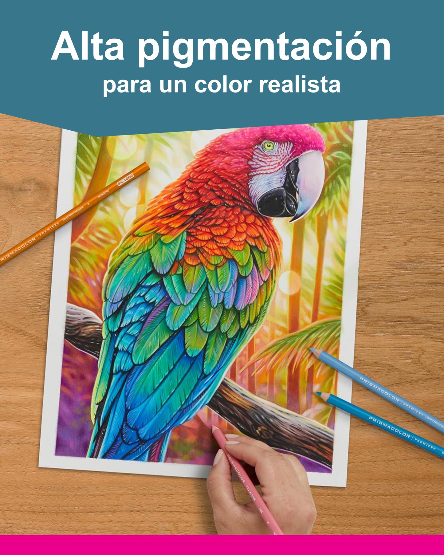 Prismacolor Premier Retrato